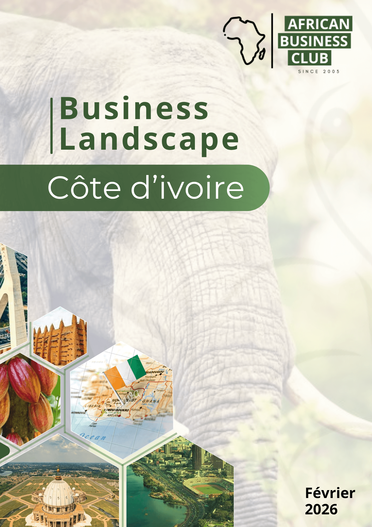 Business Landscape Côte d'ivoire